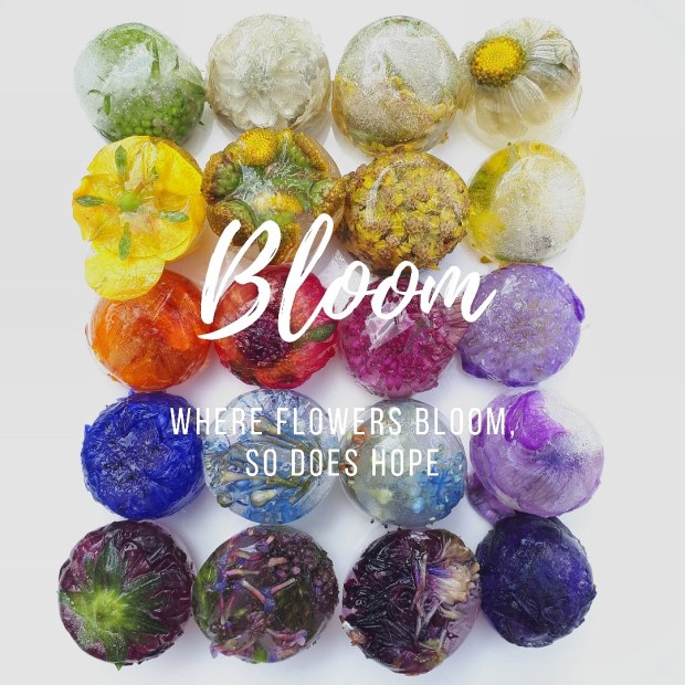 IMG_20190818_121208_349