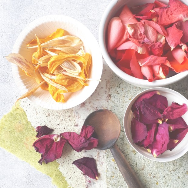 White bowls of colourful dried petals positioned on top of pastel coloured handmade papers